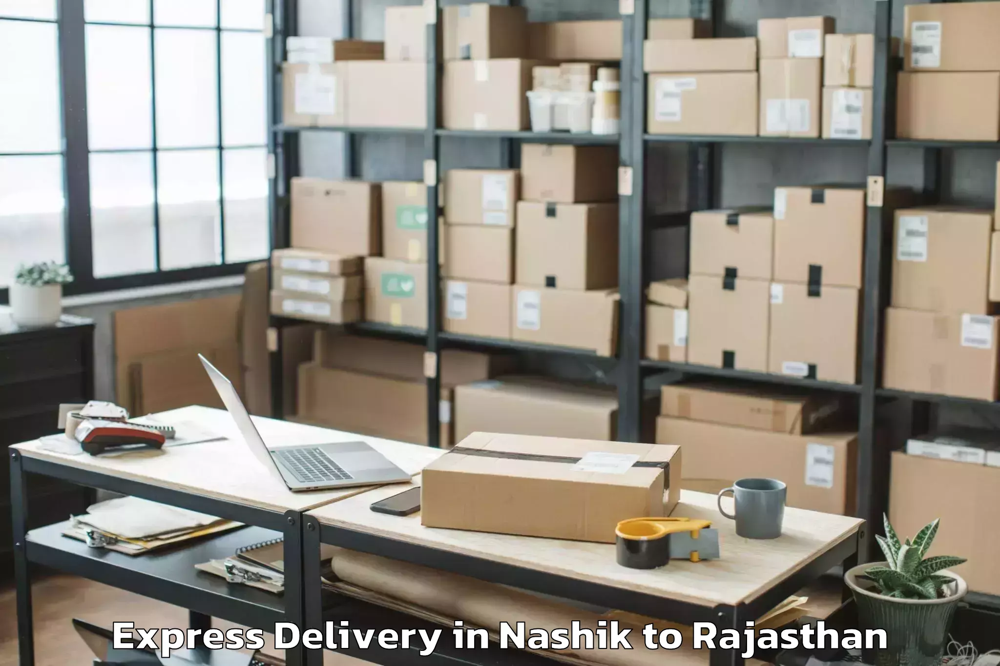 Professional Nashik to Udaypur Express Delivery